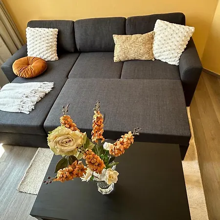 De Luxe Dubai , Chambre, Salon Climatise, Sdb Et Kitchenette Privees Πανσιόν Λιέγη